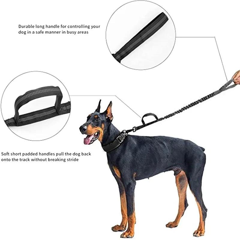 AscentPets Tactical AirTag Dog Collar + Leash Combo - Ascent Pets