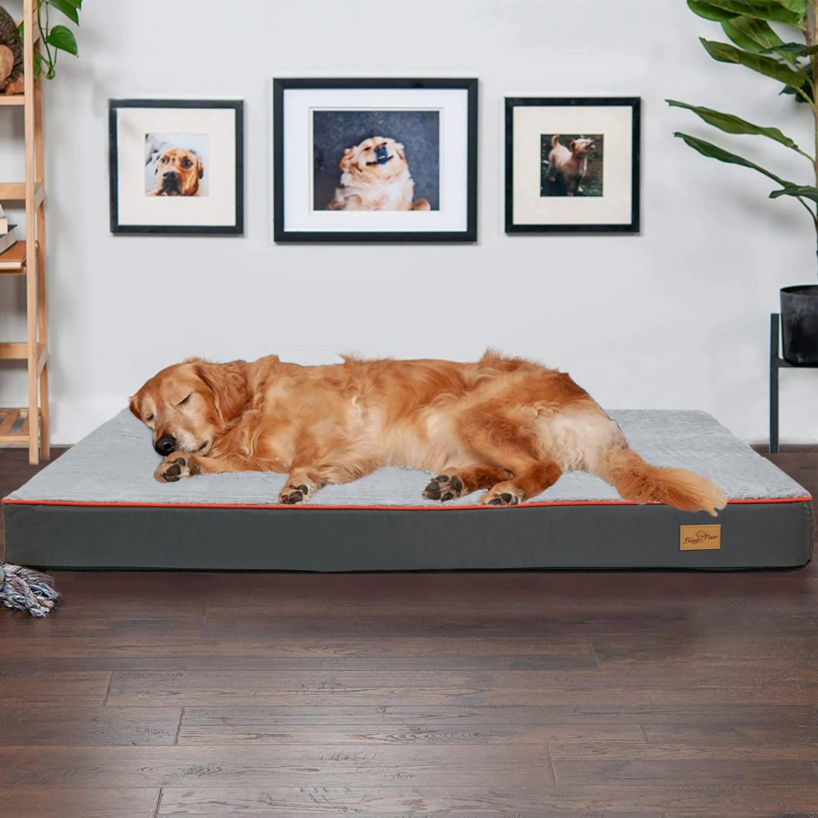 AscentPets Orthopedic Memory Foam Waterproof Dog Bed for Large Dogs (with Removable Cover) - Ascent Pets