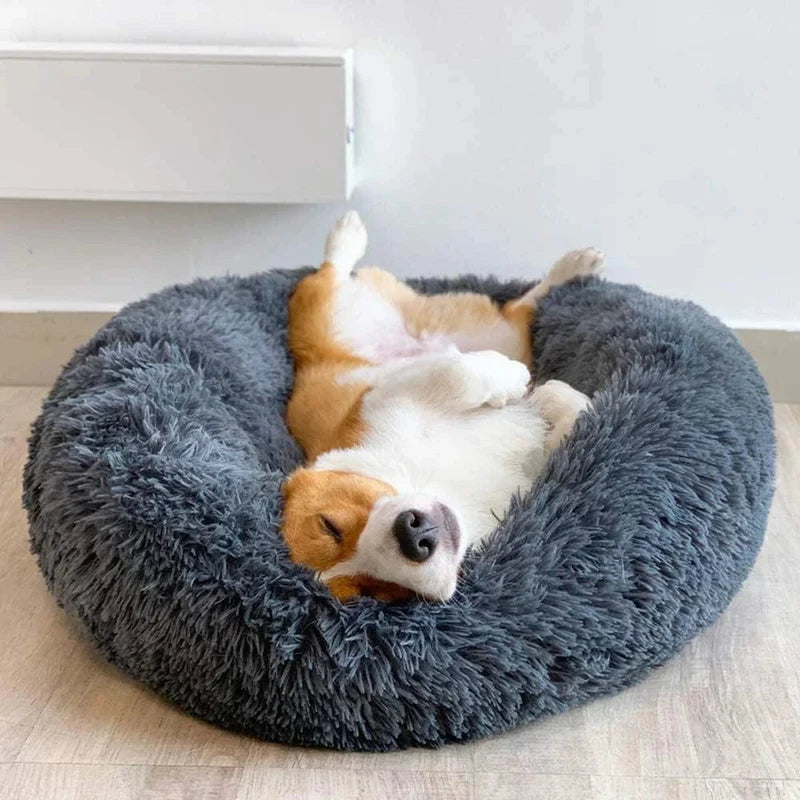 Anti Anxiety Dog Bed - Ascent Pets