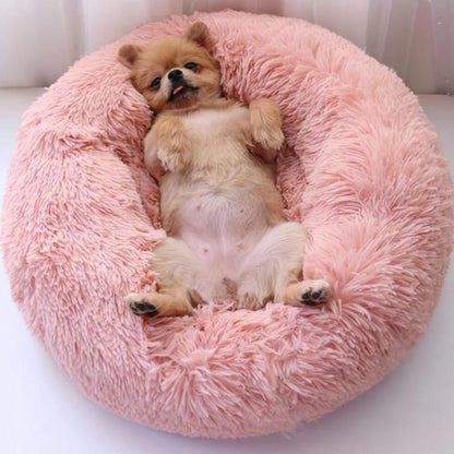 Donut Dog Bed - Ascent Pets