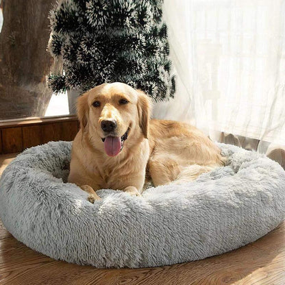 Calming Dog Bed - Ascent Pets